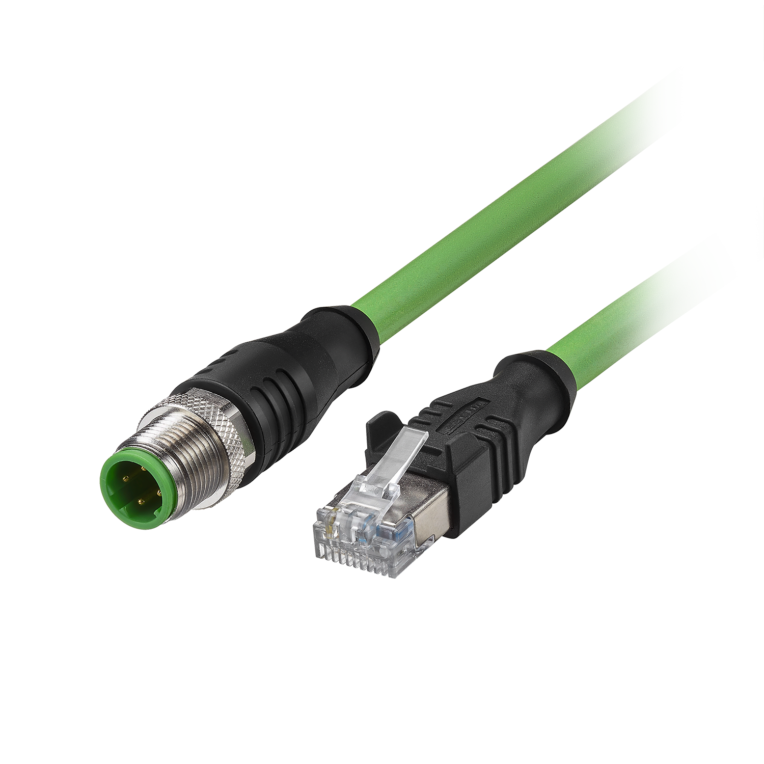 RJ45 Steckverbinder mit Kabel ,  Ethernetleitung 